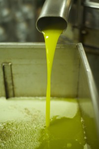 olijfoliemoo